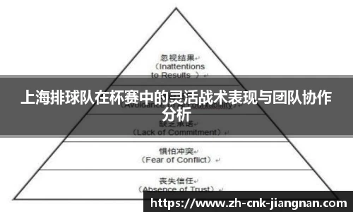 上海排球队在杯赛中的灵活战术表现与团队协作分析